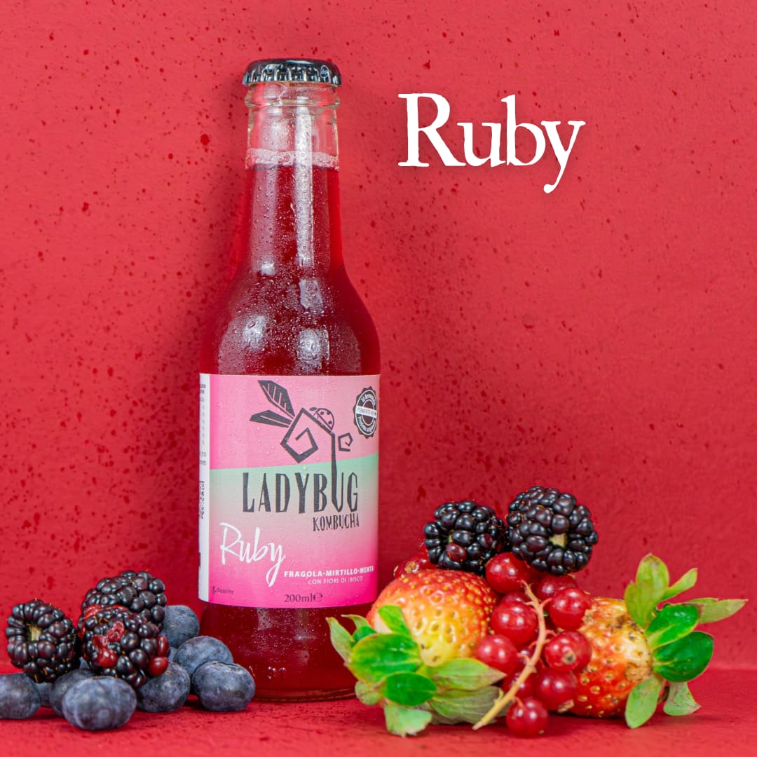 Ladybug - Kombucha Ruby (20 cl)
