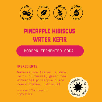 Del Sol - Kefir Ananas & Ibisco (25 cl)