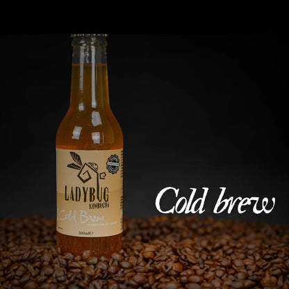 Ladybug - Kombucha Cold Brew (20 cl)