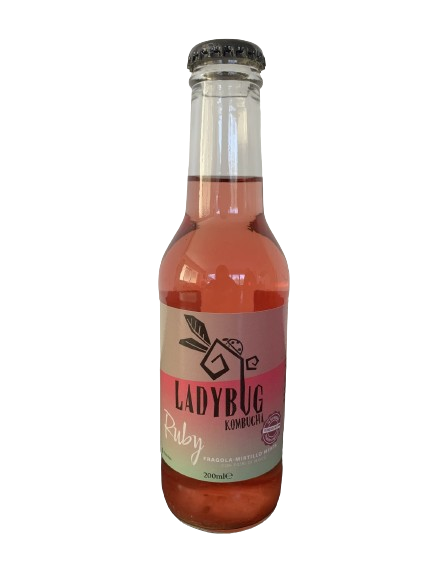 Ladybug - Kombucha Ruby (20 cl)