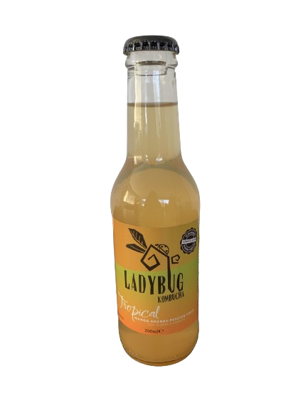 Ladybug - Kombucha Tropical (20 cl)