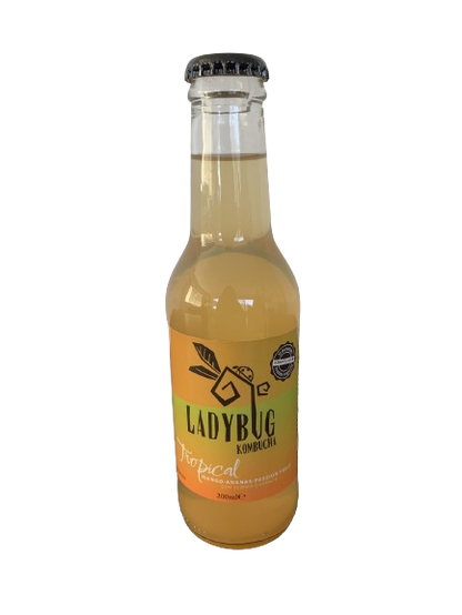 Ladybug - Kombucha Tropical (20 cl)
