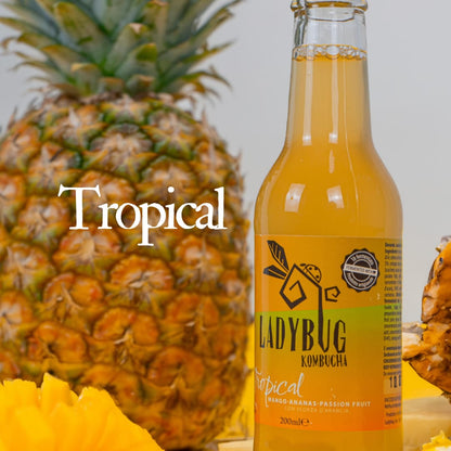 Ladybug - Kombucha Tropical (20 cl)
