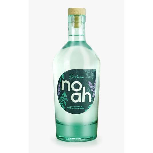 NOAH Spirit